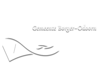 Logo gemeente BORGER-ODOORN