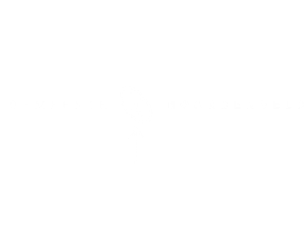 Logo gemeente NOORDENVELD