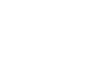 Logo gemeente ROTTERDAM